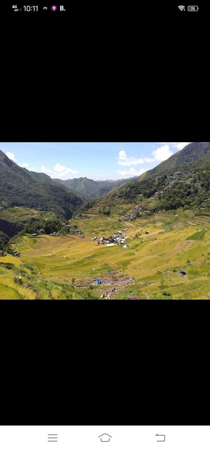 Batad Village Homestay & Restaurant بناو المظهر الخارجي الصورة