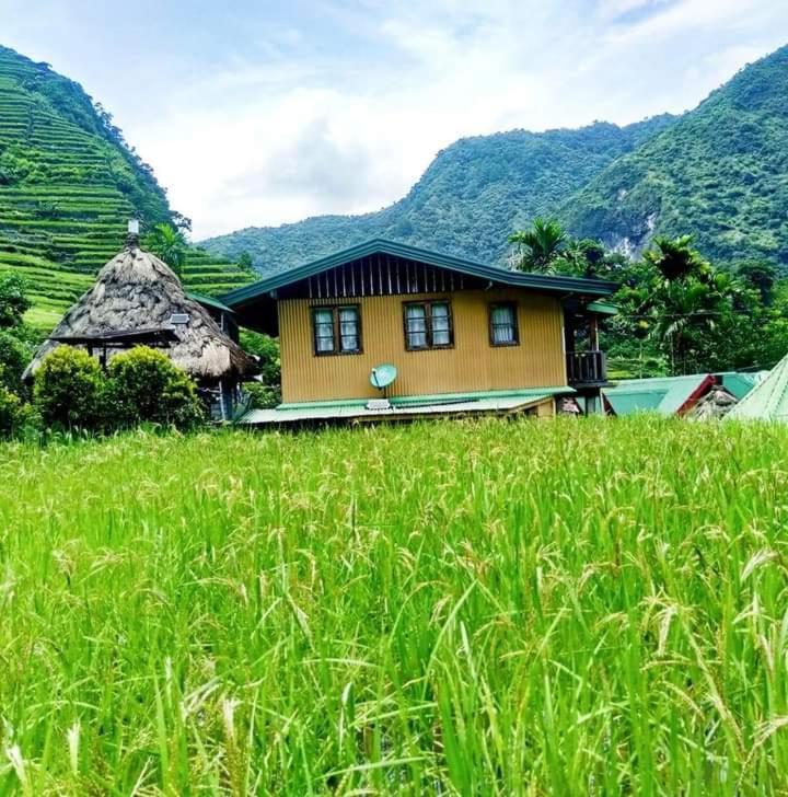Batad Village Homestay & Restaurant بناو المظهر الخارجي الصورة